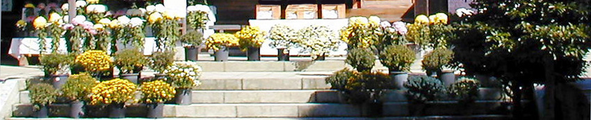 パワースポット